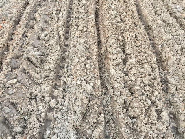 Tilled soil before drying period