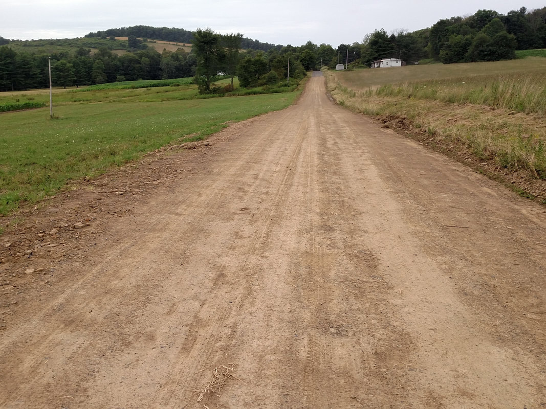 Water resistant road after TerraZyme application