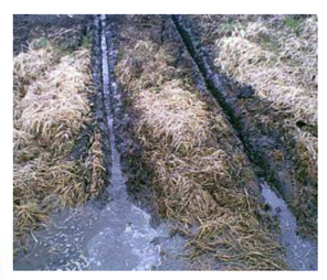 Soil drainage chanels